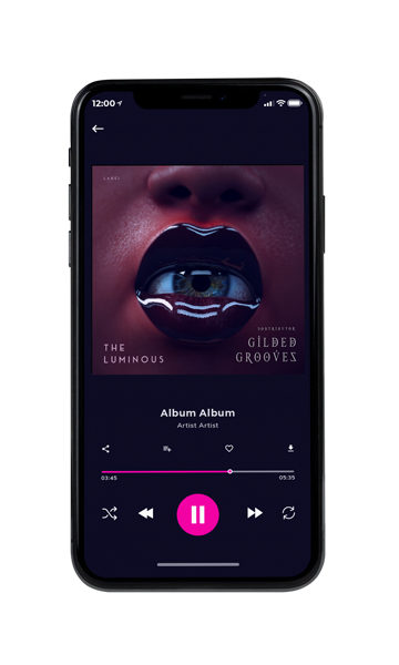Tablet view of Premade Pop Album Cover - Revolver #10630 | AlbumArtZone*