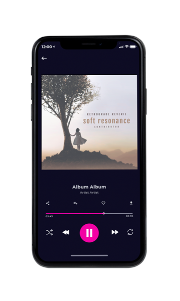 Tablet view of Premade Indie & Folk Music Album Cover - Chicago #10693 | AlbumArtZone*