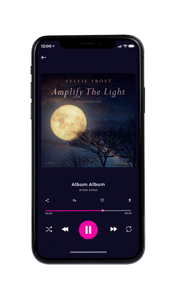 Tablet view of Premade Electronica & Ambient Album Cover - Steel Gray #11358 | AlbumArtZone*