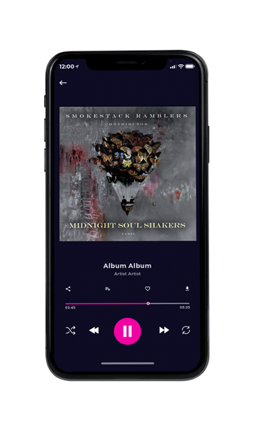 Tablet view of Premade Contemporary Music Album Cover - Chicago #11491 | AlbumArtZone*