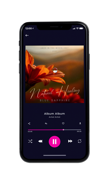 Tablet view of Premade Contemporary Music Album Cover - Cioccolato #11866 | AlbumArtZone*