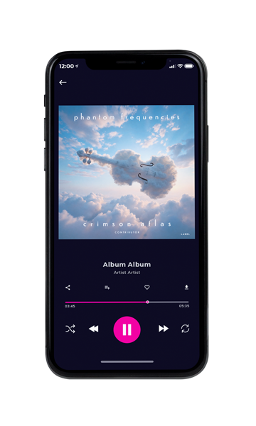 Tablet view of Premade Contemporary Music Album Cover - Gull Gray #11967 | AlbumArtZone*