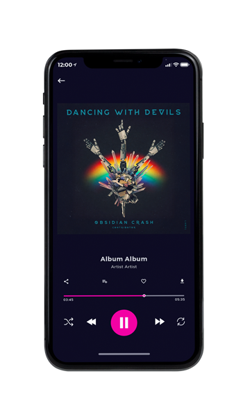 Tablet view of Premade EDM, House & Dub Album Cover - Steel Gray #12109 | AlbumArtZone*
