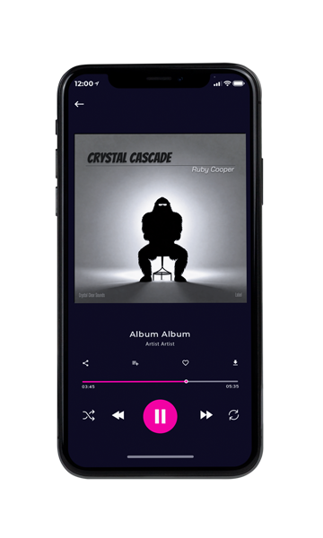 Tablet view of Premade Pop Album Cover - Friar Gray #16060 | AlbumArtZone*