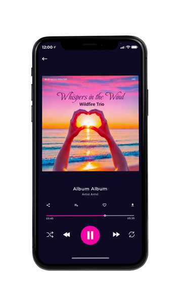 Tablet view of Premade Pop Album Cover - Can Can #16108 | AlbumArtZone*