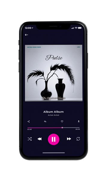 Tablet view of Premade Podcast Album Cover - French Gray #16212 | AlbumArtZone*