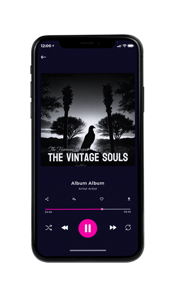 Tablet view of Premade Country & Acoustic Album Cover - Silver #16247 | AlbumArtZone*