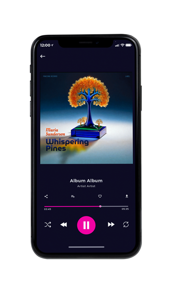 Tablet view of Premade Contemporary Music Album Cover - Big Stone #16539 | AlbumArtZone*
