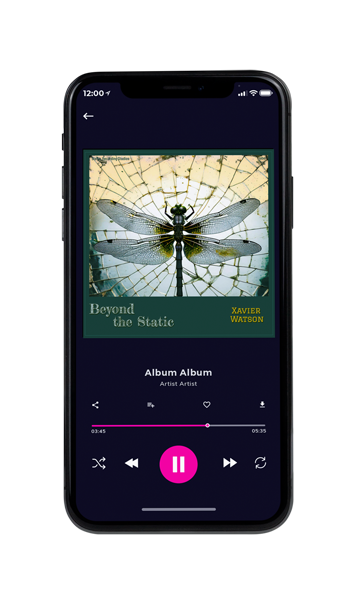 Tablet view of Premade Pop Album Cover - Everglade #16822 | AlbumArtZone*
