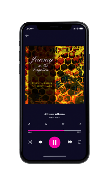 Tablet view of Premade Indie & Folk Music Album Cover - Pizza #16859 | AlbumArtZone*