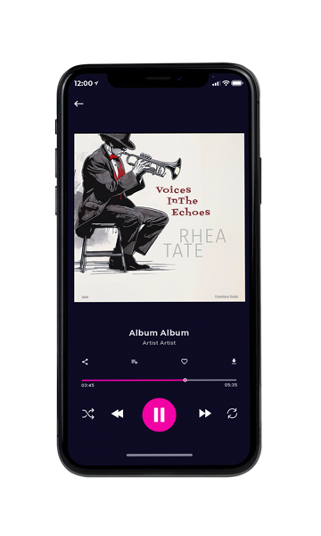 Tablet view of Premade Traditional Jazz & Blues Book Cover - Cod Gray #16928 | AlbumArtZone*
