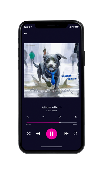 Tablet view of Premade Pop Album Cover - Iron #17054 | AlbumArtZone*
