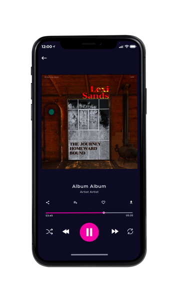 Tablet view of Premade Country & Acoustic Book Cover - Paco #17069 | AlbumArtZone*