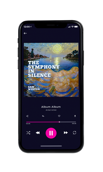 Tablet view of Premade Contemporary Music Album Cover - Bandicoot #17126 | AlbumArtZone*