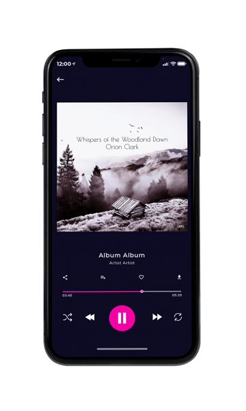 Tablet view of Premade Indie & Folk Music Album Cover - Pale Slate #17181 | AlbumArtZone*