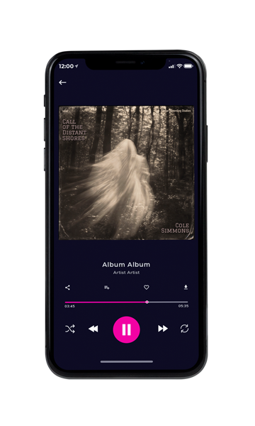 Tablet view of Premade Rock,Punk & Alternative Album Cover - Birch #17448 | AlbumArtZone*