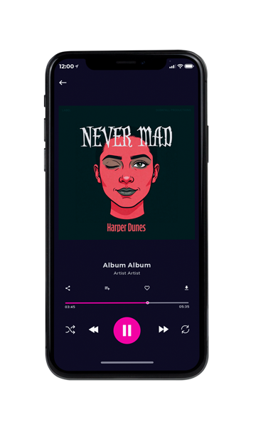 Tablet view of Premade Pop Album Cover - Bottle Green #18019 | AlbumArtZone*