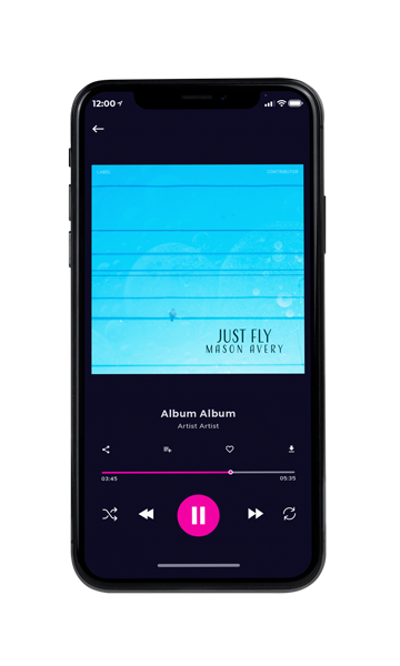 Tablet view of Premade Contemporary Music Album Cover - Malibu #18234 | AlbumArtZone*