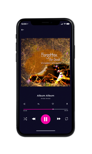 Tablet view of Premade Country & Acoustic Album Cover - Dallas #18236 | AlbumArtZone*