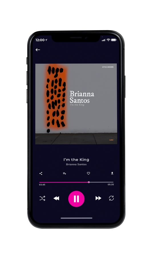 Tablet view of Premade Pop Album Cover - Hurricane #20594 | AlbumArtZone*