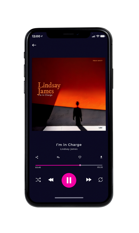 Tablet view of Premade Pop Album Cover - Paco #20602 | AlbumArtZone*
