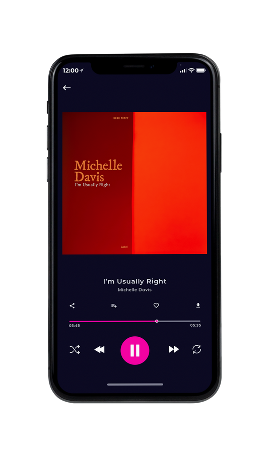 Tablet view of Premade Pop Album Cover - Vermilion #20606 | AlbumArtZone*