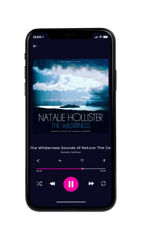 Tablet view of Premade Pop Album Cover - Firefly #21157 | AlbumArtZone*