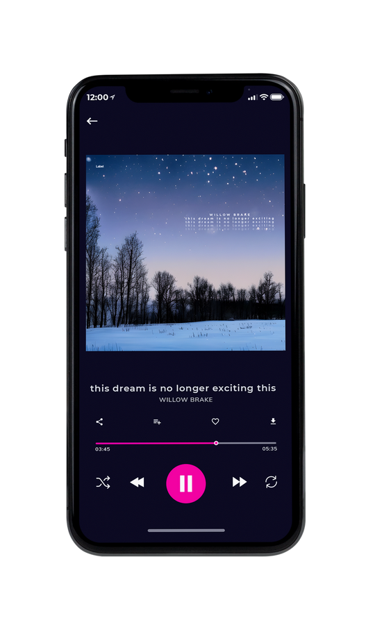 Tablet view of Premade Country & Acoustic Album Cover - Lynch #21175 | AlbumArtZone*