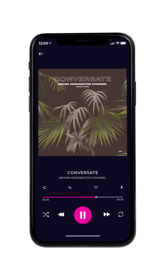 Tablet view of Premade Pop Album Cover - Taupe #21222 | AlbumArtZone*