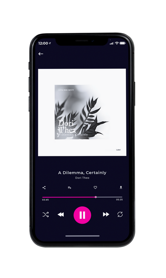 Tablet view of Premade Pop Album Cover - Gray Nickel #21246 | AlbumArtZone*