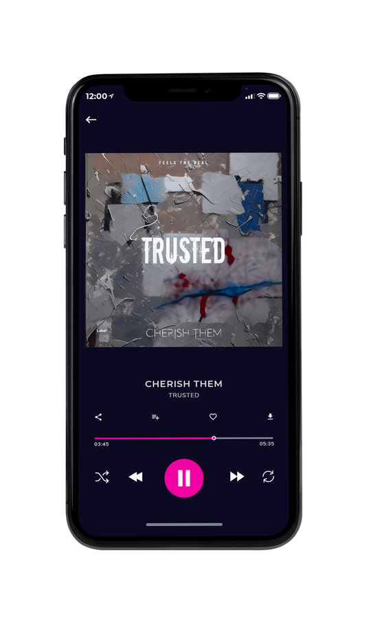 Tablet view of Premade Pop Album Cover - Dove Gray #21341 | AlbumArtZone*