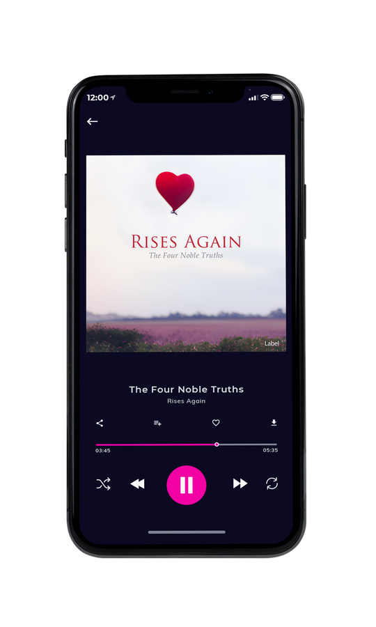 Tablet view of Premade Pop Album Cover - Ferra #21374 | AlbumArtZone*