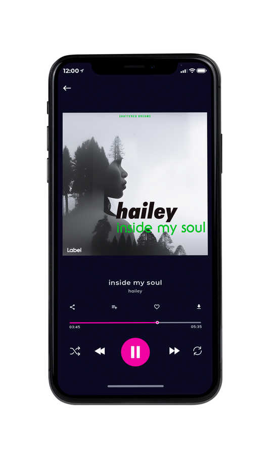 Tablet view of Premade Pop Album Cover - Alto #21384 | AlbumArtZone*