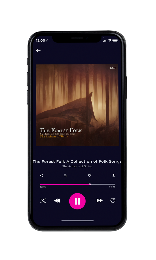 Tablet view of Premade Pop Album Cover - Cork #21436 | AlbumArtZone*