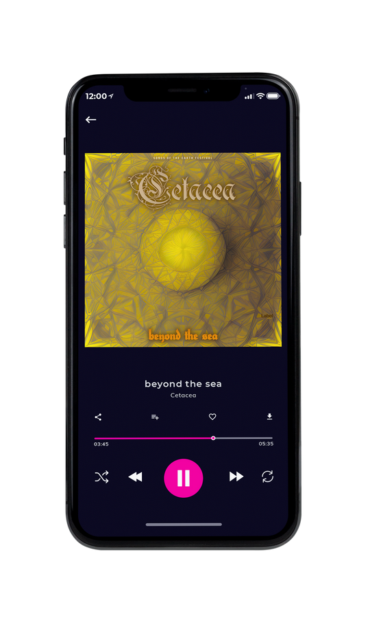 Tablet view of Premade Indie & Folk Music Album Cover - Sycamore #21660 | AlbumArtZone*