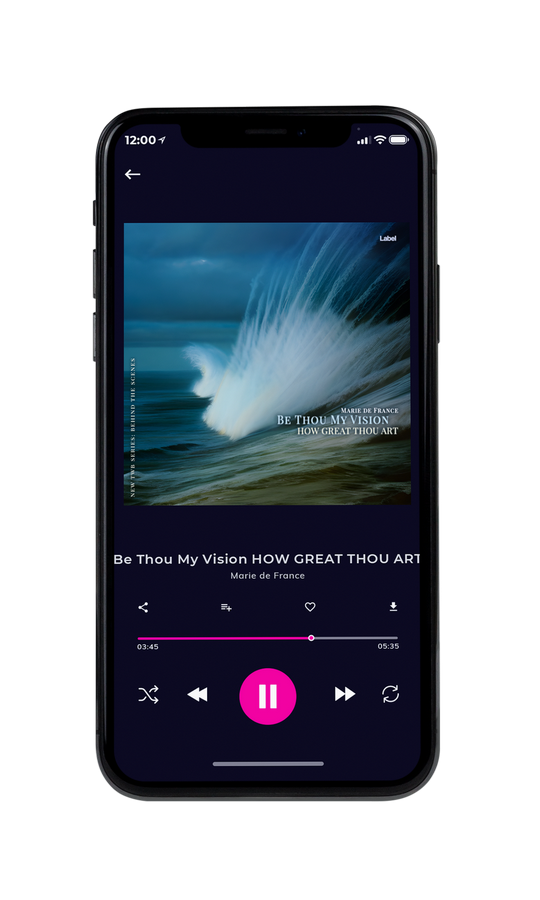 Tablet view of Premade Indie & Folk Music Album Cover - Blue Bayoux #21668 | AlbumArtZone*