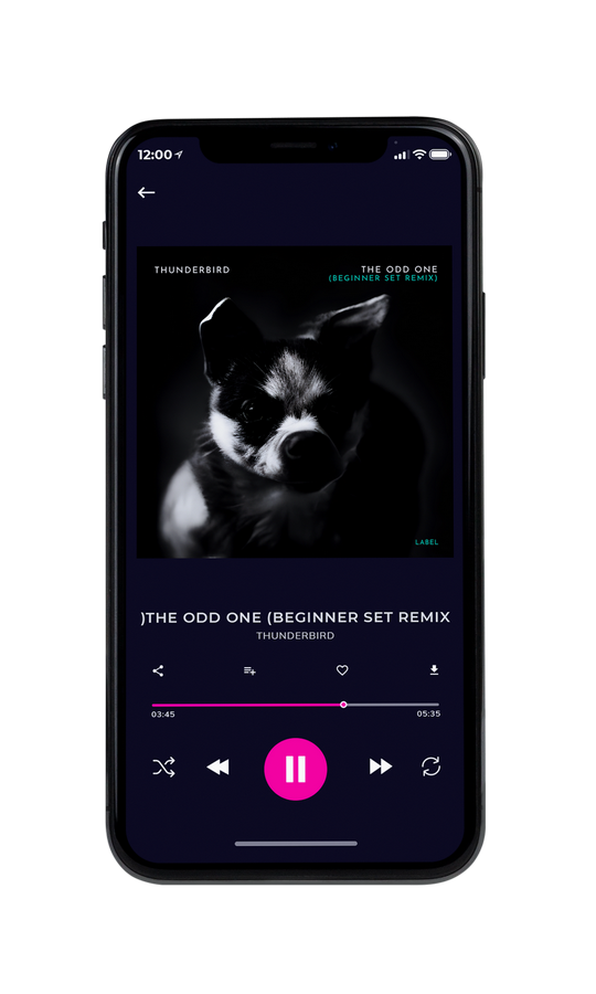 Tablet view of Premade Pop Album Cover - Woodsmoke #21780 | AlbumArtZone*