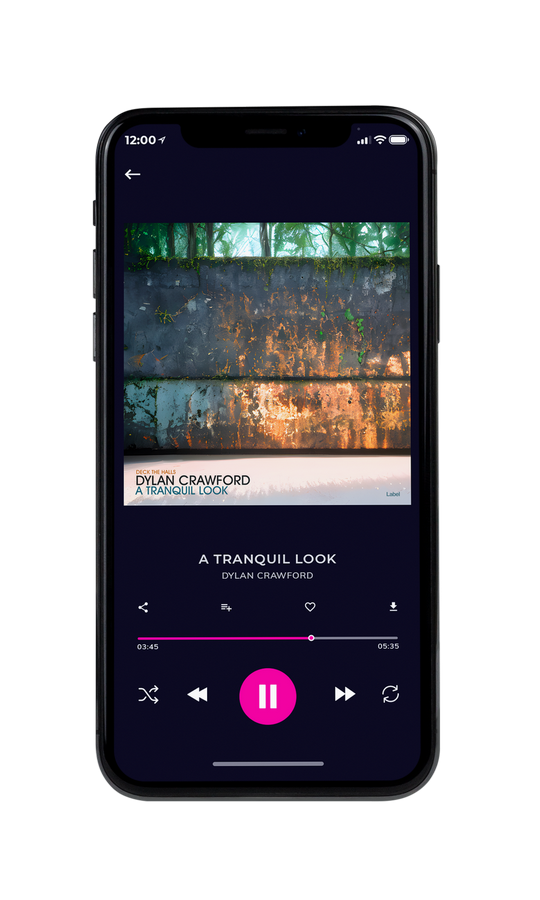 Tablet view of Premade Contemporary Music Album Cover - Nandor #21807 | AlbumArtZone*
