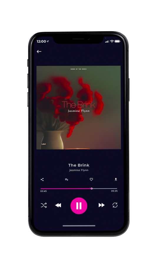 Tablet view of Premade Pop Album Cover - Judge Gray #21819 | AlbumArtZone*