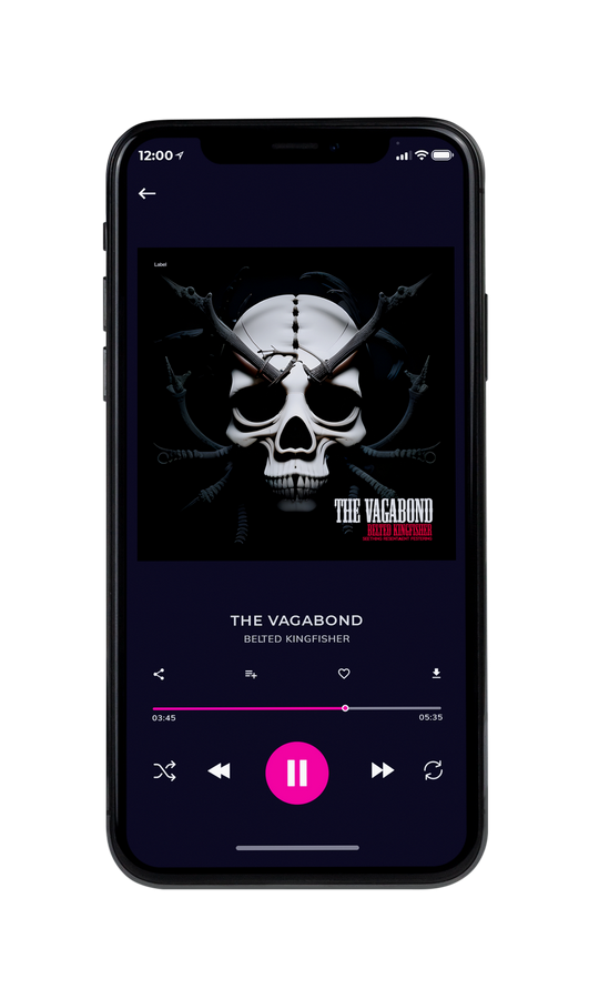 Tablet view of Premade Heavy Metal & Gothic Metal Album Cover - Silver #21908 | AlbumArtZone*