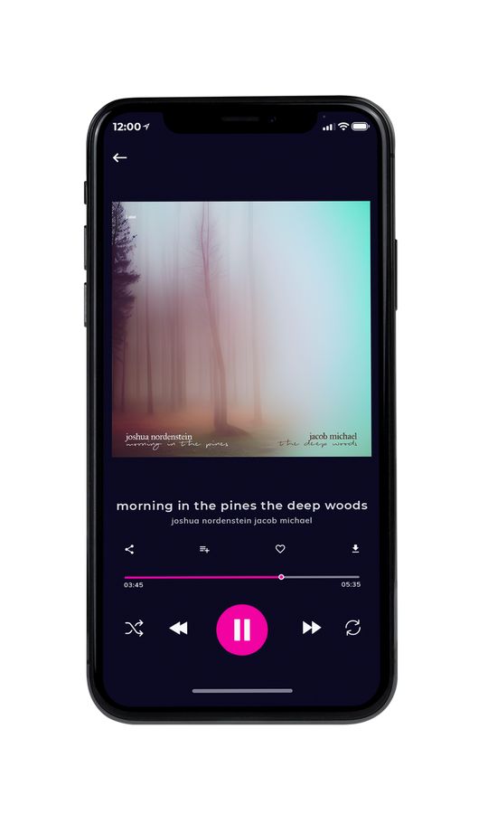 Tablet view of Premade Country & Acoustic Album Cover - Pumice #21977 | AlbumArtZone*