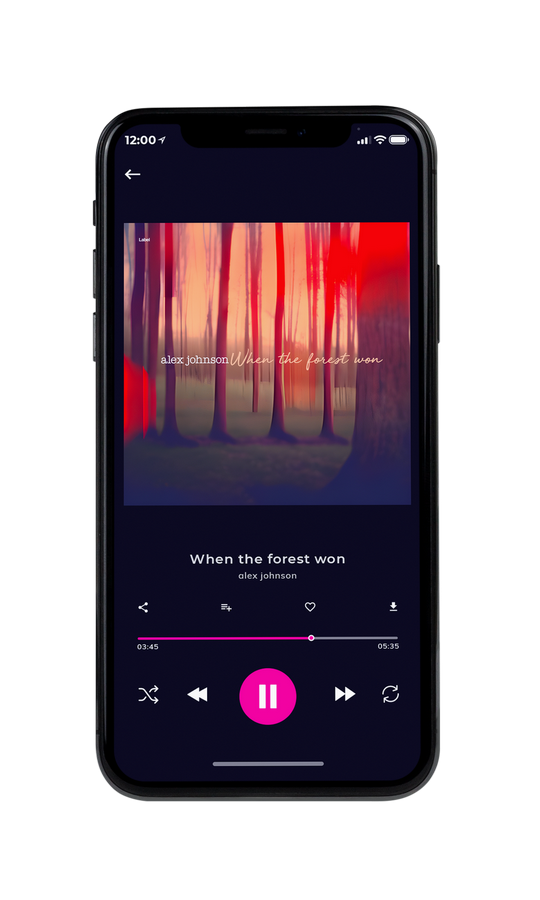 Tablet view of Premade Country & Acoustic Album Cover - Eggplant #21983 | AlbumArtZone*