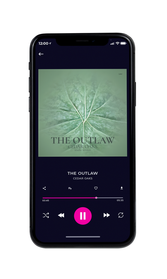 Tablet view of Premade Country & Acoustic Album Cover - Envy #22042 | AlbumArtZone*