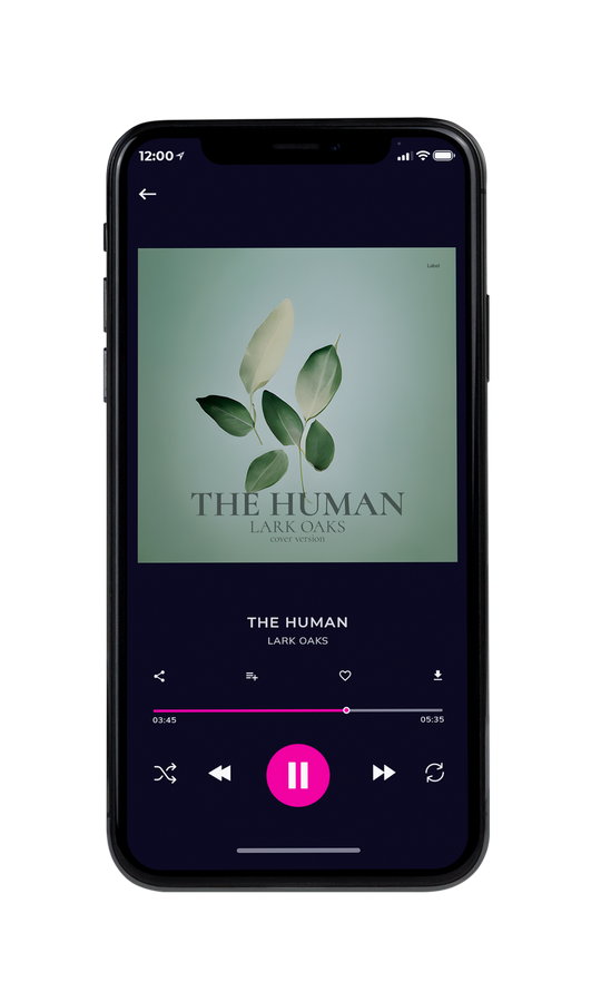 Tablet view of Premade Country & Acoustic Album Cover - Mantle #22044 | AlbumArtZone*