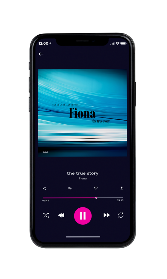Tablet view of Premade Pop Album Cover - Pelorous #22064 | AlbumArtZone*