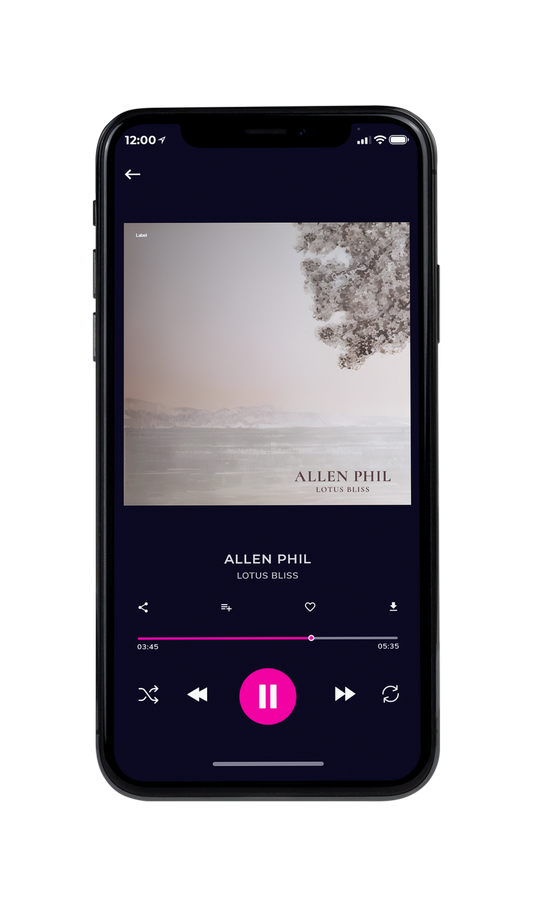 Tablet view of Premade Pop Album Cover - Silk #22092 | AlbumArtZone*