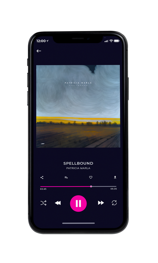 Tablet view of Premade Electronica & Ambient Album Cover - Regent Gray #22109 | AlbumArtZone*