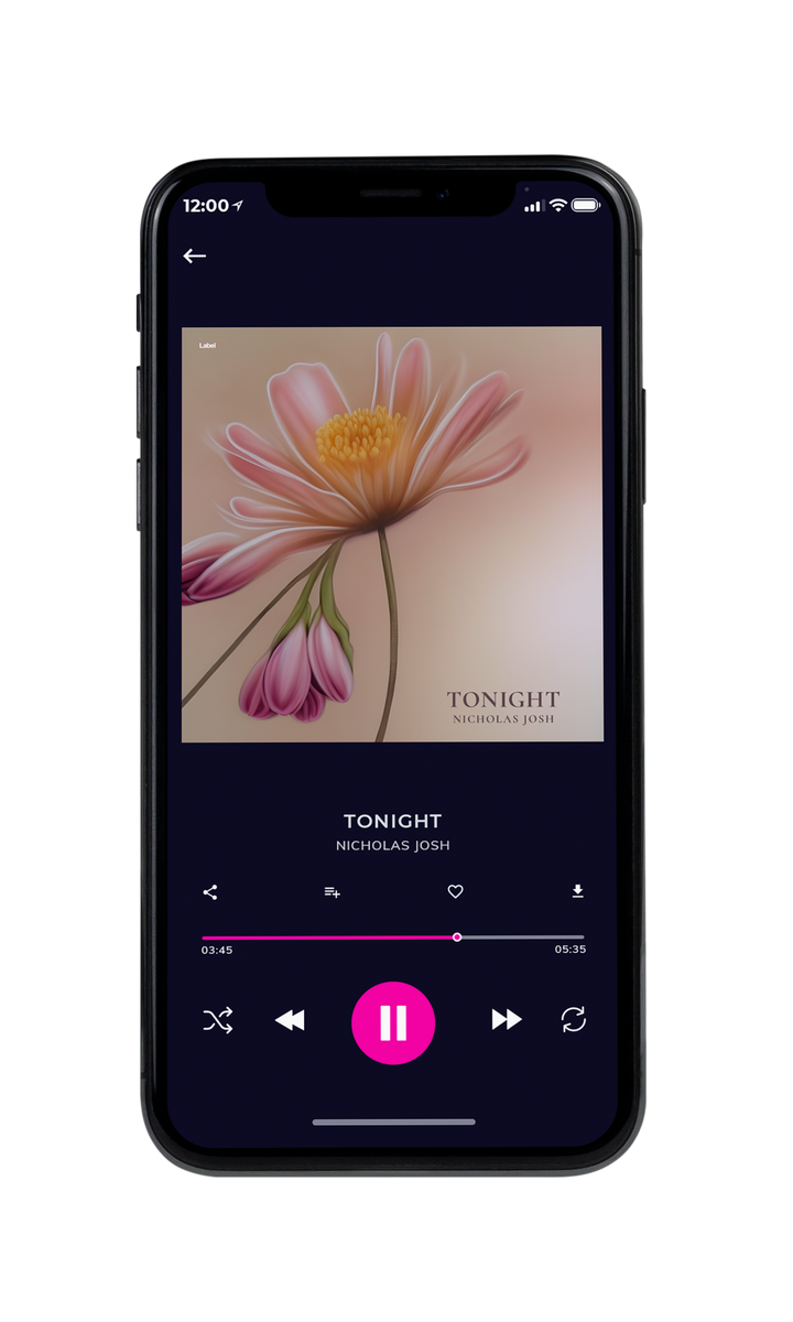 Tablet view of Premade Pop Album Cover - Sandrift #22209 | AlbumArtZone*