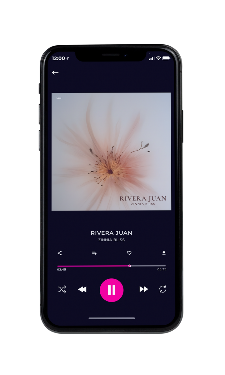 Tablet view of Premade Pop Album Cover - Nobel #22212 | AlbumArtZone*