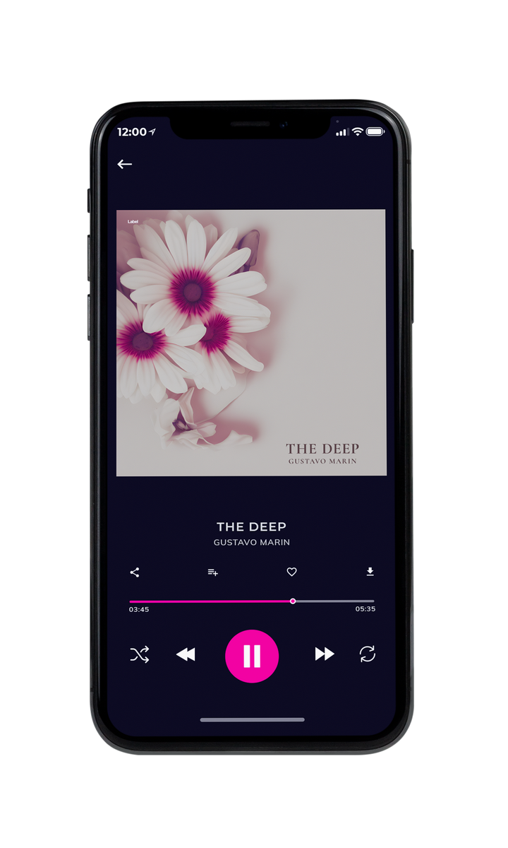 Tablet view of Premade Pop Album Cover - Tea #22214 | AlbumArtZone*